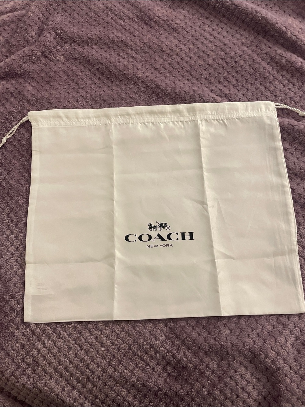 COACH Dust Bag 13 x 16
